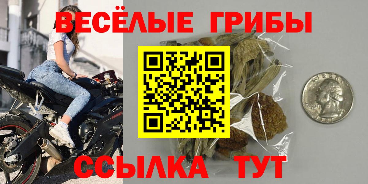 Кимовск  Галлюциногенные грибы ЛСД  Вход с VPN  Галлюциногенные грибы Psilocybine cubensis 