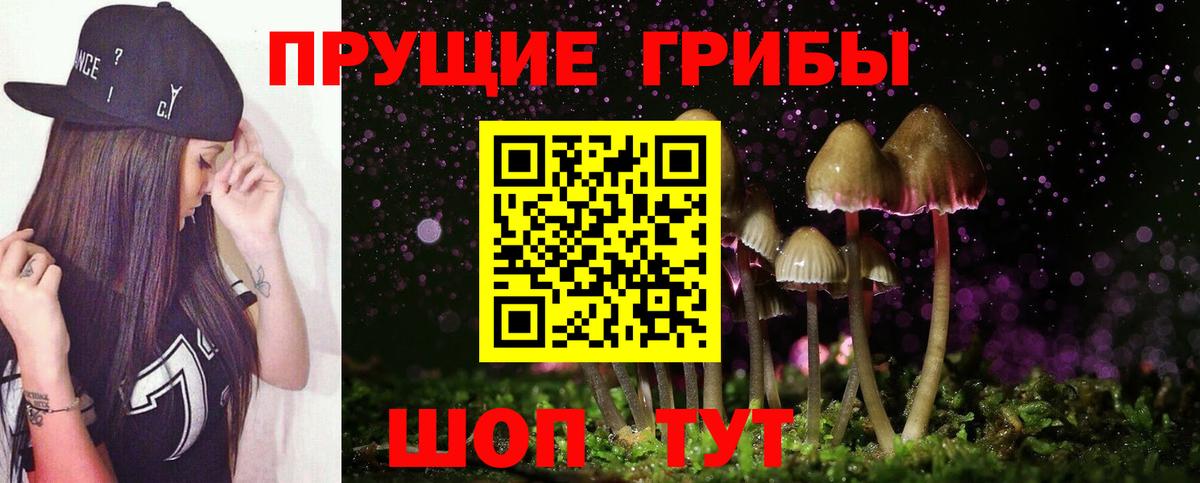 Галлюциногенные грибы Cubensis Кимовск